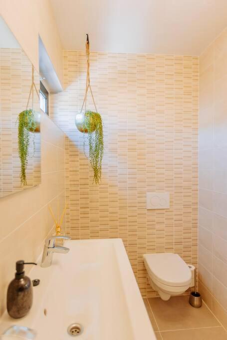 Brand New Bright & Luxurious In Amsterdam! Ámsterdam